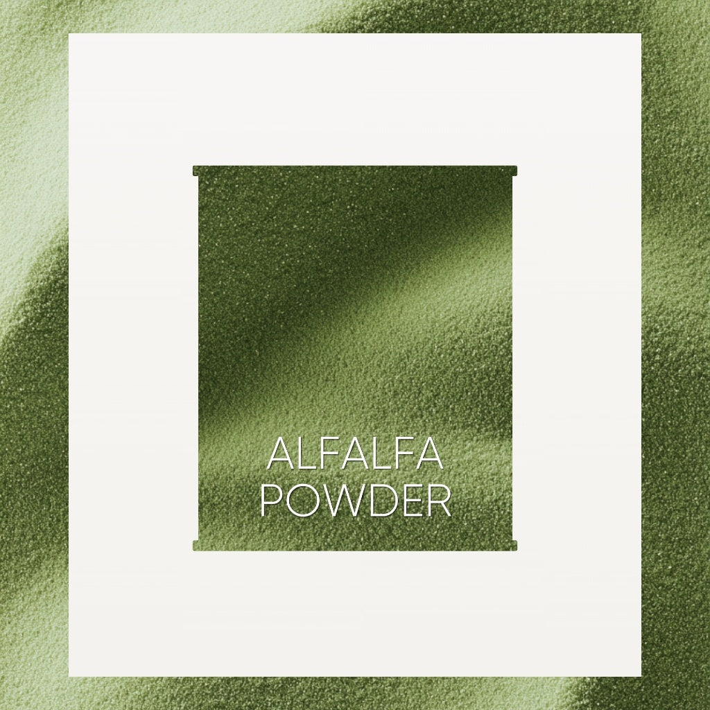 Llamito ผงอัลฟัลฟ่า ออร์แกนิค (Organic Alfalfa Powder) ขนาด 250g