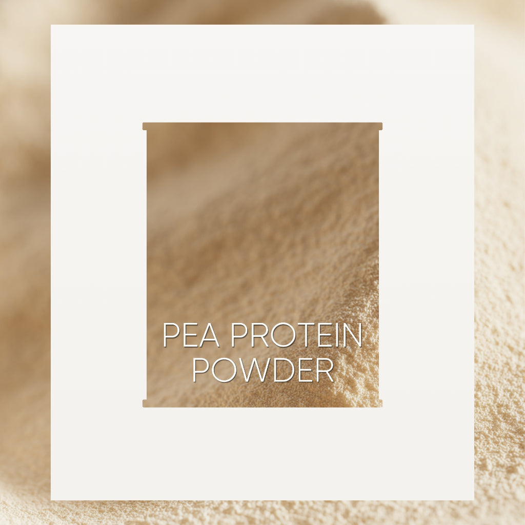 Llamito ผงโปรตีนถั่วลันเตา ออร์แกนิค (Organic Pea Protein Powder) ขนาด 300g