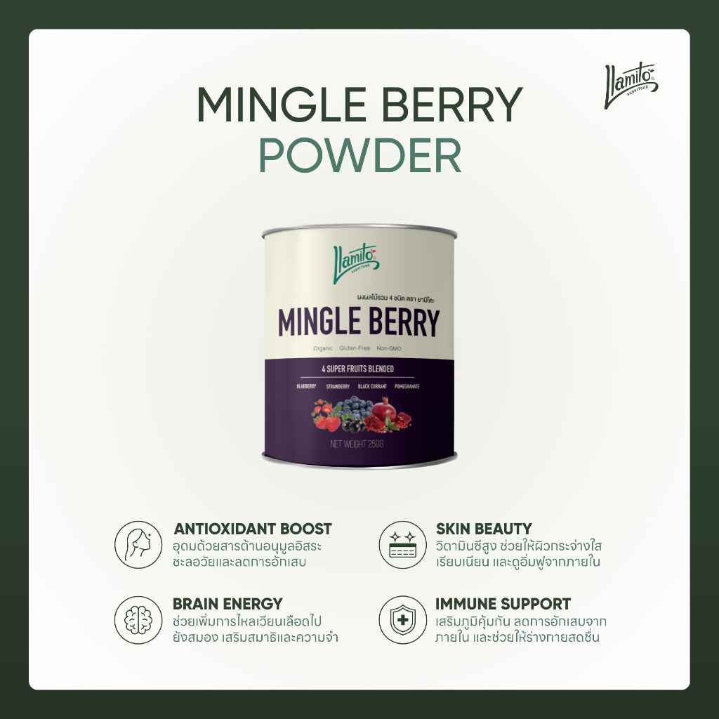 Llamito ผงมิงเกิลเบอร์รี่ ออร์แกนิค (Organic Mingle Berry Powder) ขนาด 250g