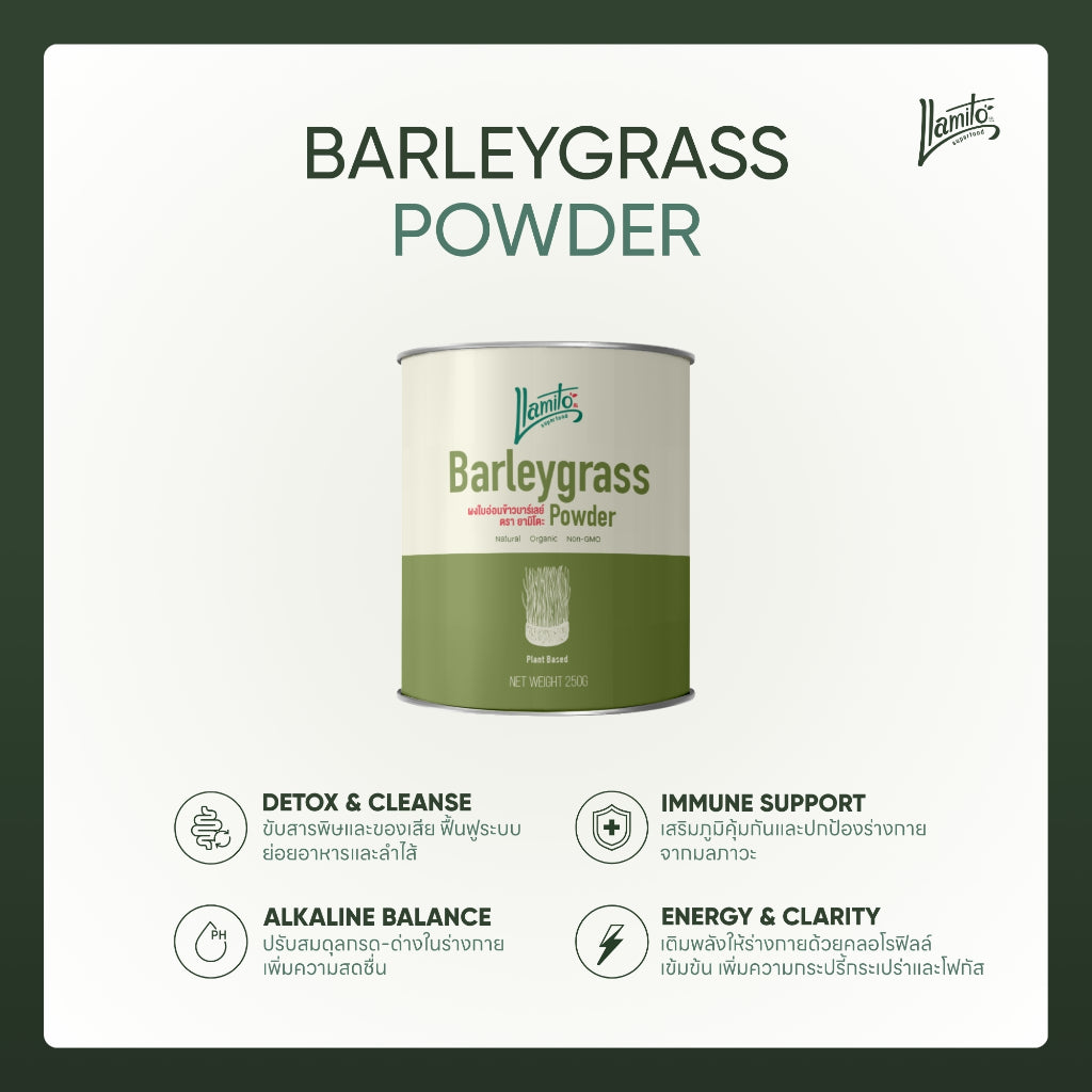 Llamito ผงใบอ่อนข้าวบาร์เลย์ ออร์แกนิค (Organic Barley Grass Powder) ขนาด 250g